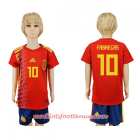 Maillot/Tenue Espagne Fabregas 10 Enfant Domicile Coupe du monde 2018